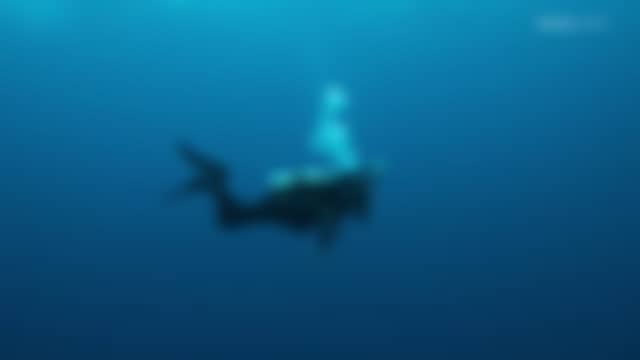 BBC Earth as it is on air right now