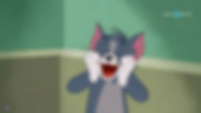 Cartoonito as it is on air right now