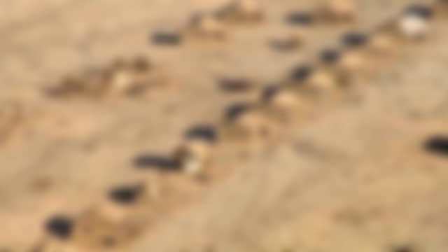 Curiosity Channel as it is on air right now